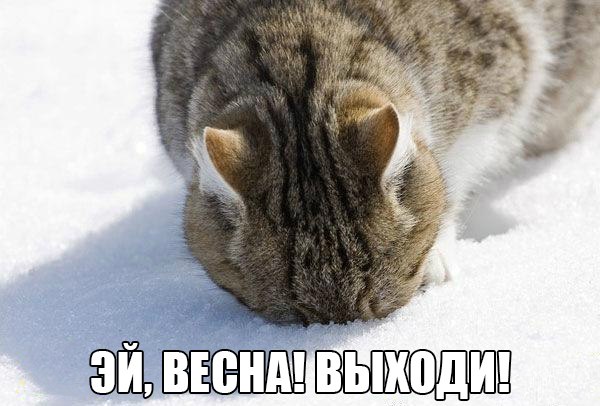 Немного картинок и демотиваторов