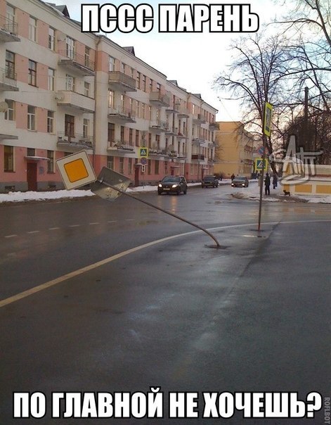 Прикольные картинки