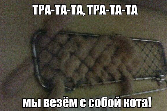 Прикольные картинки