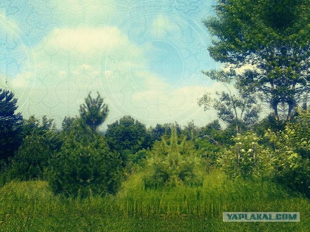 Картинки наркомании