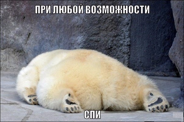 Веселые картинки