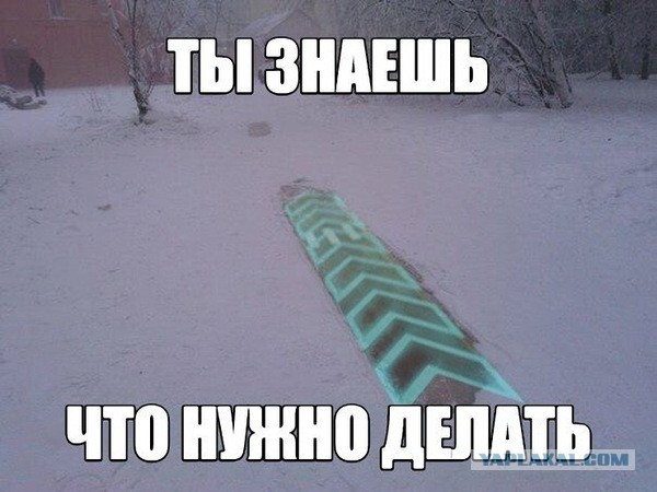 Смешные картинки