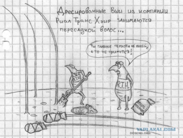 Абсурдная субботница