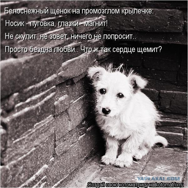 Этот ВЗГЛЯД!