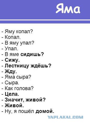 Моя сестра весьма темная личность