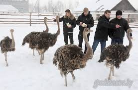 Подборка любопытных фотографий со всего света
