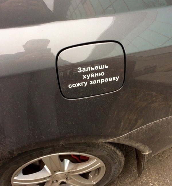Несколько фоток