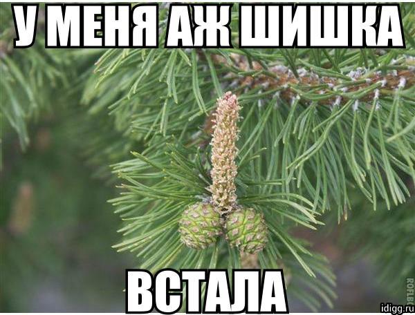 Горячие представительницы соцсетей.