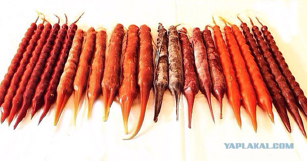 Пламенный репортаж телевидения КНДР о начале священной войны с американскими сумасбродами