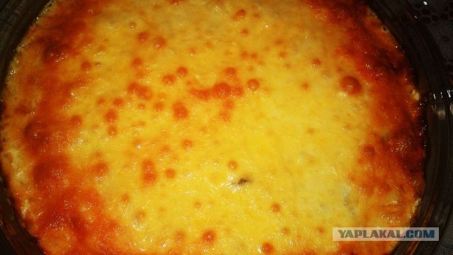 International одной книги., В память о Дженибеке.