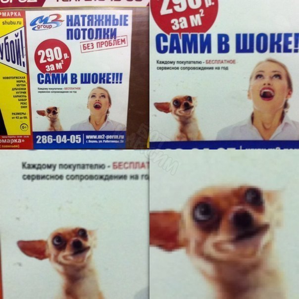 Журнал деградант