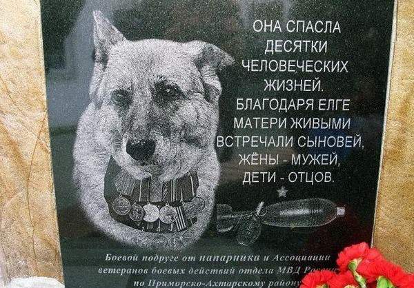 Подборка интересных и веселых картинок