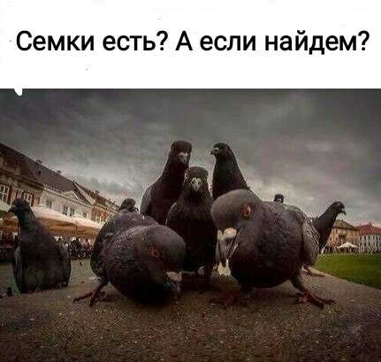 Ударная доза тупежа и деградации