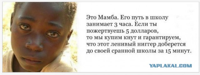 ЮАР после отмены апартеида: Почему роскошные небоскребы превратились в гетто, а на красный свет останавливаться не стоит
