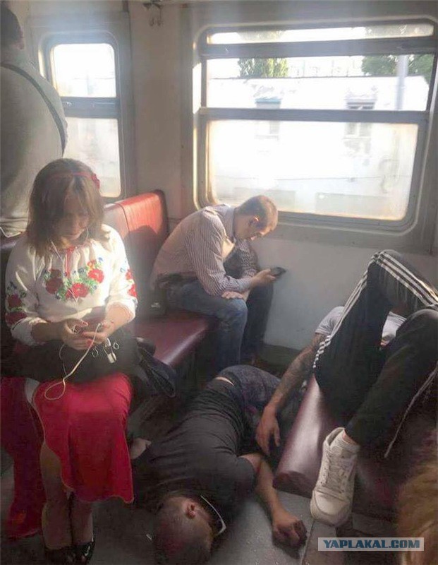 Вестник социальных сетей