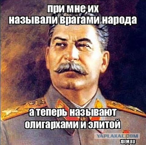 Мизулина оправдалась за живущего за границей сына. «Так вышло»