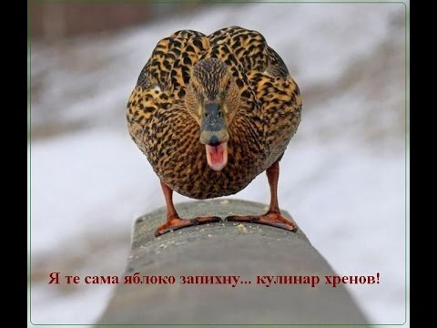 Аццкая кухня 3  (Кулинарный адъ)