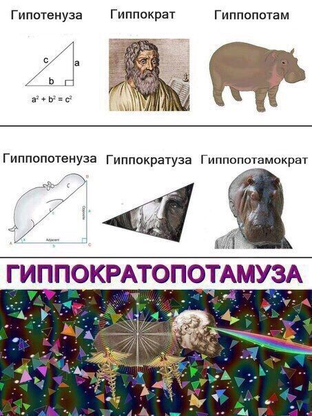 Немного странных картинок в этот четверг