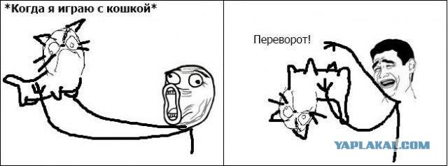 КОТОВТОРНИК (6.03.2012)