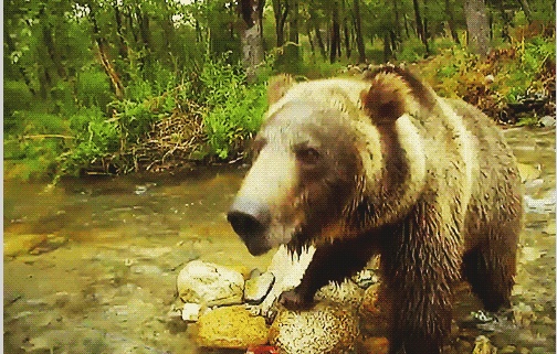 А сейчас я вам улыбнусь