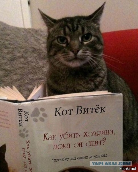 Я это не ем, но дай