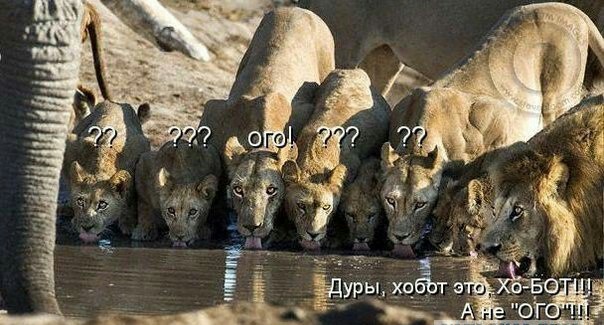Бредзона 28.02.2020