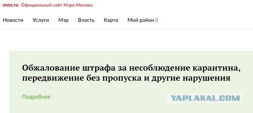 Сдал анализ на антитела