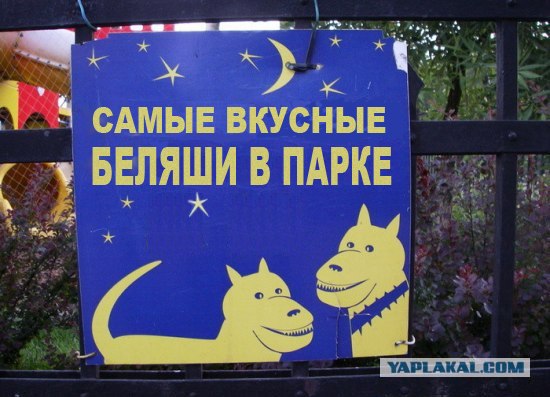 Фотожаба: Ночью парк стережем мы!