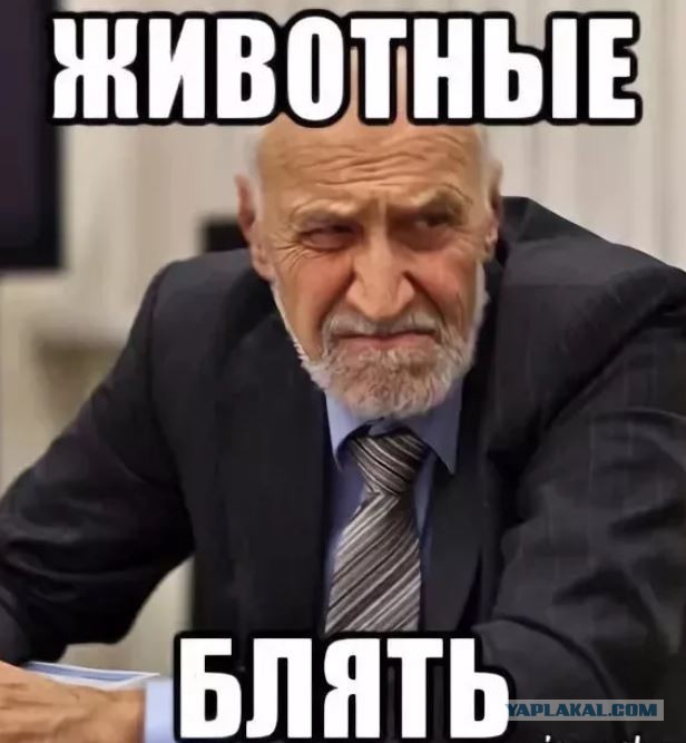 Адын на адын. Драка чеченцев и таджика