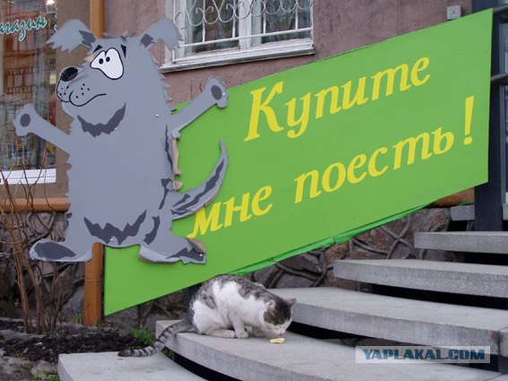 Фотожаба на пятницу