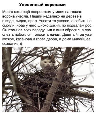 Так себе картинки 01.07.20