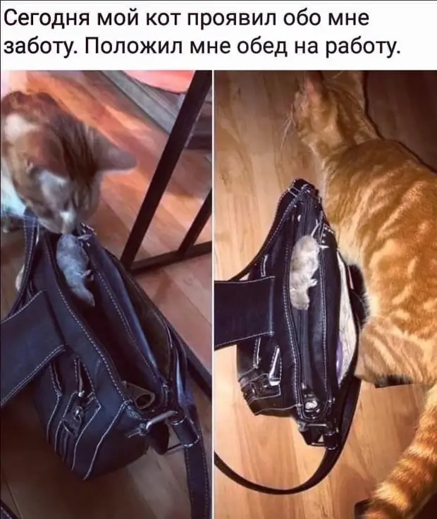 Бредзона 20.09.20