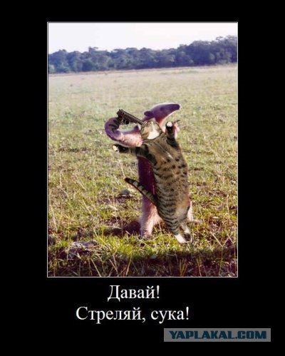 Доброе утро