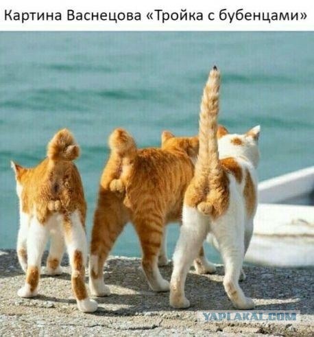 Мои картинки за 2020