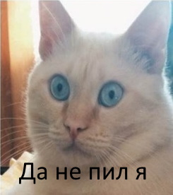 Картинки и мемы для настроения 24.02.2021