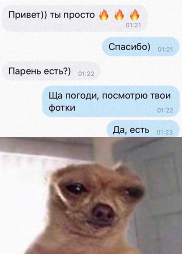 Весёлый полтишок 1.04