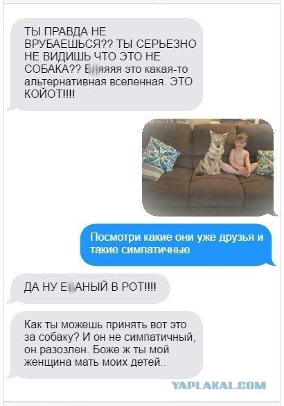 Это прикол?