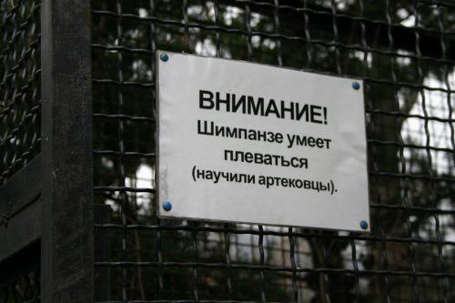 Проект Ним: можно ли очеловечить обезьяну, если растить её в семье как обычного ребёнка