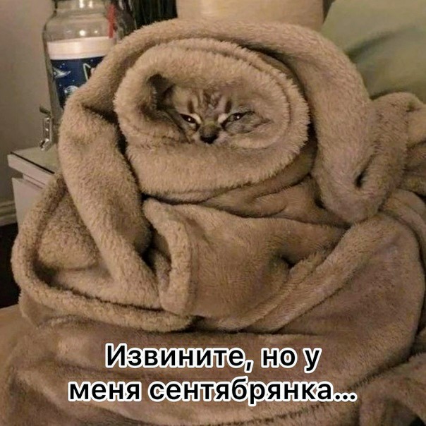 Картинки и мемы, всем прекрасных выходных