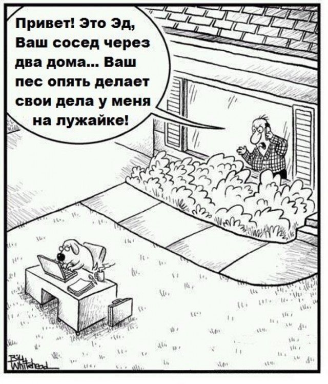 Чё смотришь? Листай дальше!