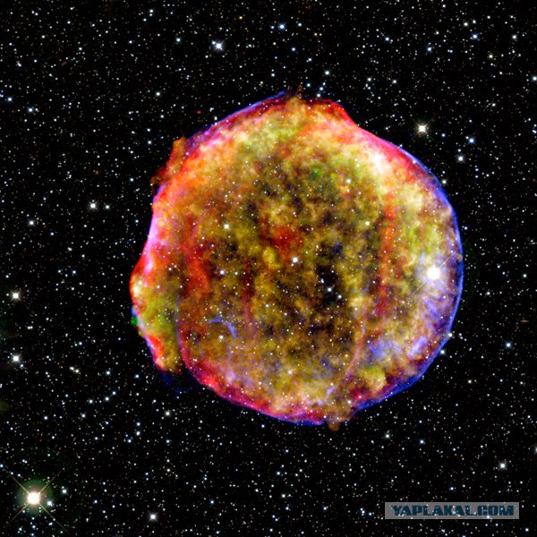 Вспышка сверхновой звезды