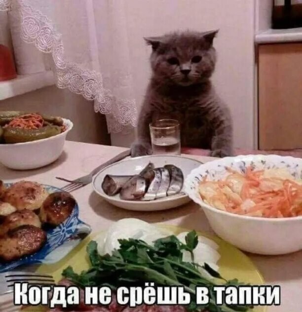 Алкопост 16.04.22