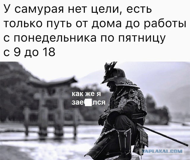 Эпичный махач