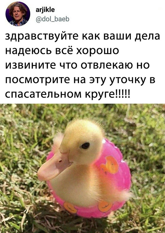 Картинки и мемы для настроения - 119