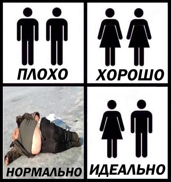 Госдума приняла закон о запрете пропаганды ЛГБТ, педофилии и смены пола в рекламе, книгах, кино и СМИ