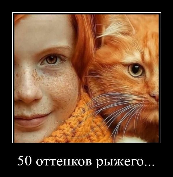 Тупняк на понедельник. 17 шт.
