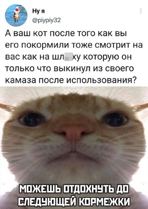 Картинки и мемы для настроения - 131