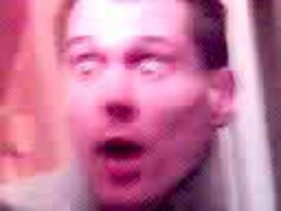 Звери ломают двери