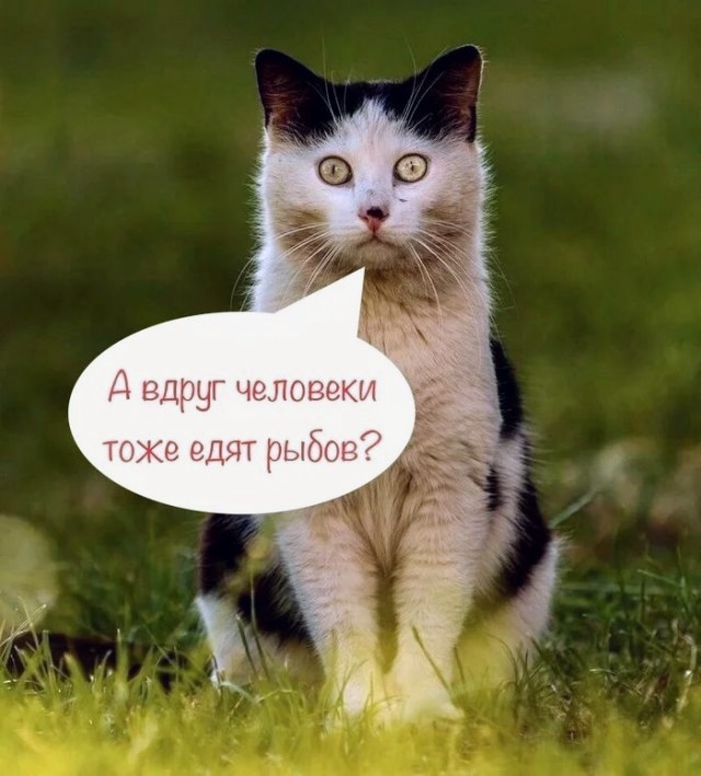 Картинки и мемы, всяко - 169
