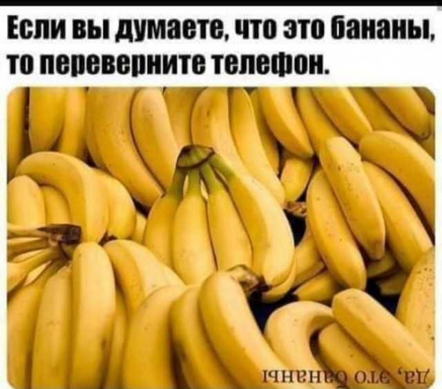 55 разных картинок для настроения - 5